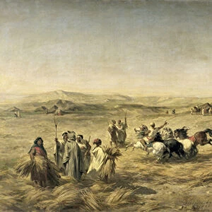 Threshing Wheat in Algeria, 1853 (oil on canvas)