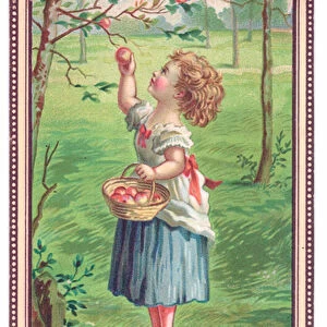 A Victorian Christmas card of a girl picking apples from a tree, c. 1880 (colour litho)