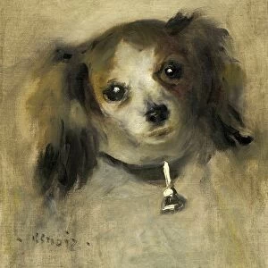 Auguste Renoir (French, 1841 - 1919), Head of a Dog, 1870, oil on canvas