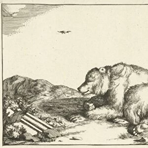 Reclining bear, print maker: Marcus de Bye, Marcus Gerards I, 1664
