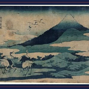 SAcshA umezawa zai, Umezawa manor in SAcshA'. Katsushika, Hokusai, 1760-1849, artist