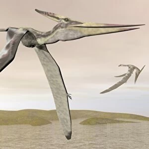 Two pteranodons flying over small islands