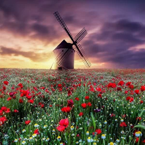 spring by the windmill