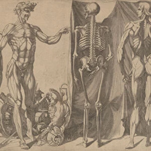 Two Flayed Men and Their Skeletons, ca. 1540-45. Creator: Domenico del Barbiere
