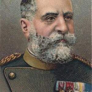 Radomir Putnik (1847-1917), Serbian Field Marshal, 1917
