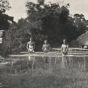 Singhalesische Zimmtarbeiter bei der Arbeit, 1926