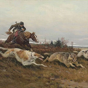 Wolf hunting with borzois
