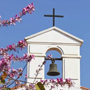 Bell Tower Of Parochial Church Of The Immaculate Conception With Cherry Blossom; Arroyo De La Miel, Malaga Province, Spain