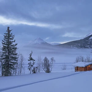 Cabin in a winter landscape during a moody morning; Tagish, Yukon, Canada