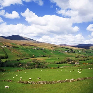 Sperrin Mountains, County Tyrone, Ireland
