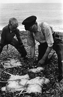 Fisherman and boy on Aldeburgh beach