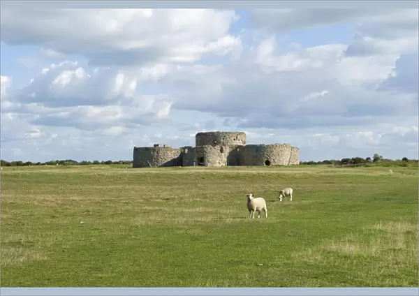 Camber Castle N100286