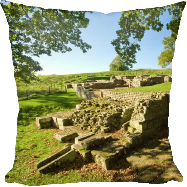 Chesters Roman Fort N100473