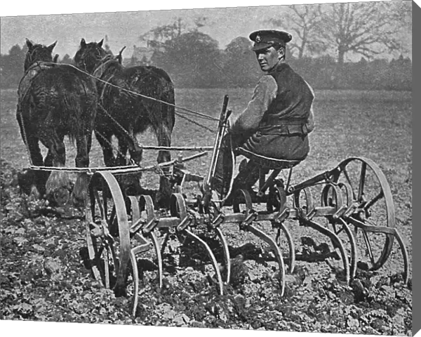 British soldier working on the land, WW1