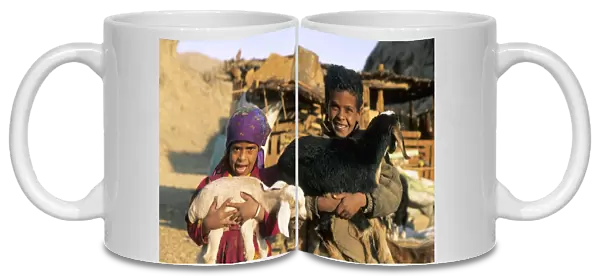 Egypt - Bedouin children cuddle goats