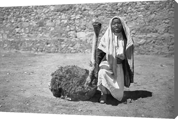 Black girl with tamed ostrich, Holy Land