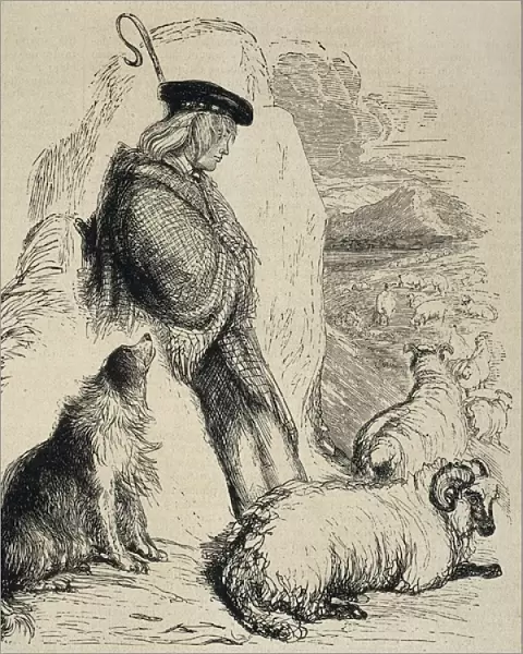 Scottish shepherd, illustration from The illustrated