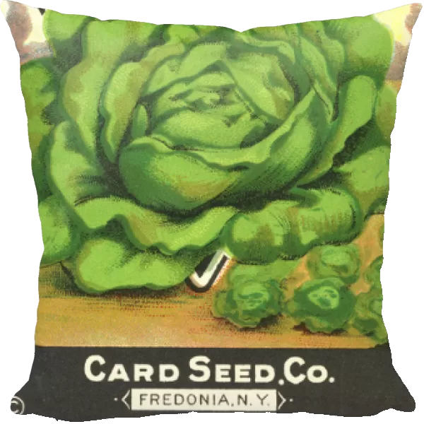 Vintage lettuce seed packet