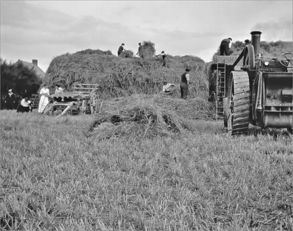 People harvesting in a field