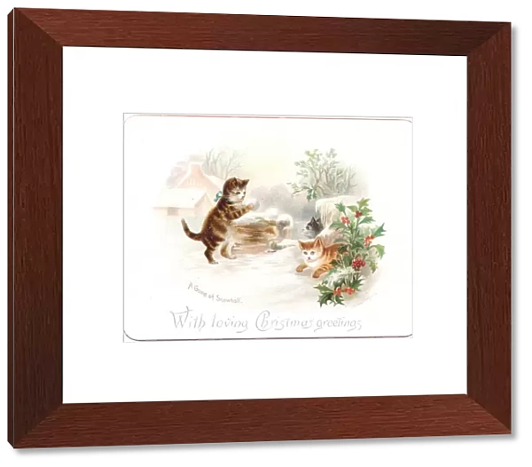Three kittens snowballing on a Christmas card