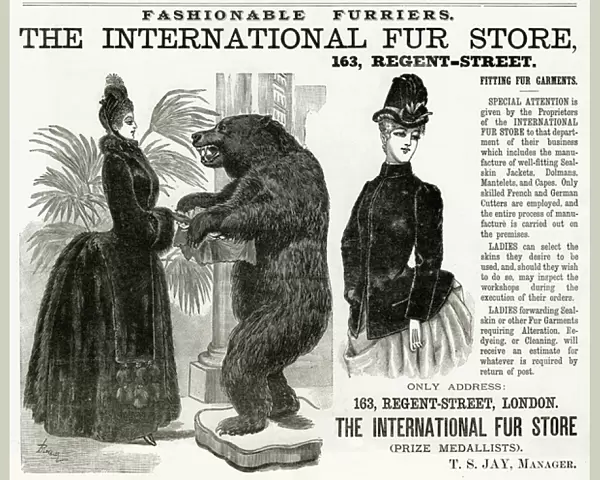 Advert for International Fur Store 1886