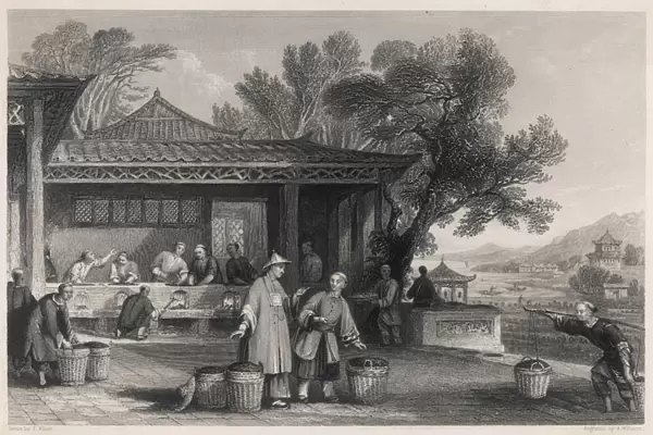 Chinese tea industry