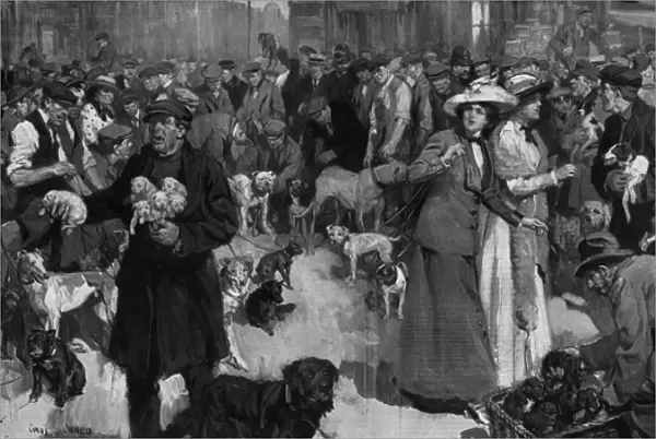 Dog Market, London