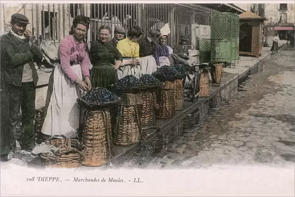 Dieppe, France - Mussel sellers