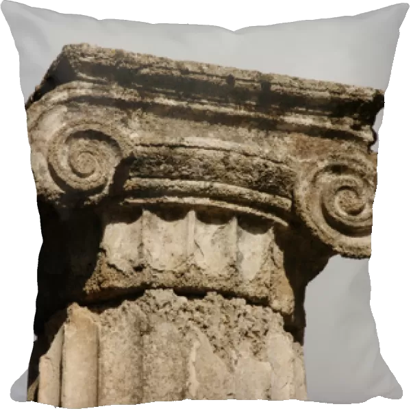 Greek Art. Sanctuary of Olympia. Ionic column at the Palaest