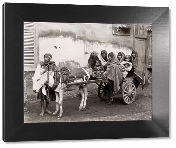 Donkey and cart with passengers, Cairo, Egypt, circa 1890