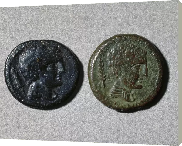 Assarius. Adverse. Ibero-roman. Bronze. Head. Mint of Iltirc