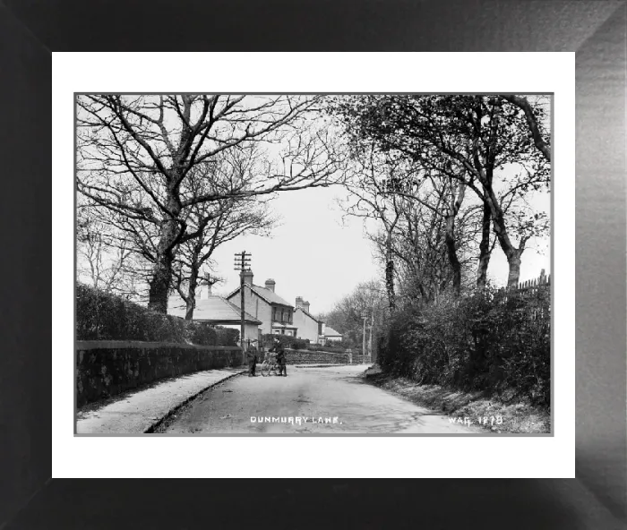 Framed Print : Early 20th Century Dunmurry Lane Print Framed Print : Early 20th Century Dunmurry Lane Print