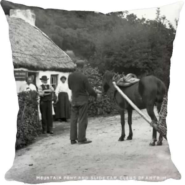 Mountain Pony and Slide Car, Glens of Antrim