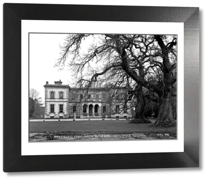 Framed Print : Moneyglass House and the Old Cedars Print, circa early 1900s Framed Print : Moneyglass House and the Old Cedars Print, circa early 1900s