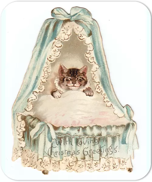 Cat in a cradle on a cutout Christmas card