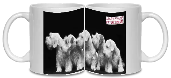Puppies Mug Picture