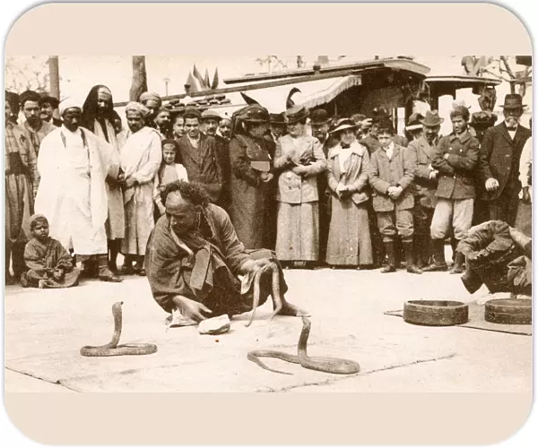 Tunisia - Tunis - Street Snake Charmer with a pair of cobras
