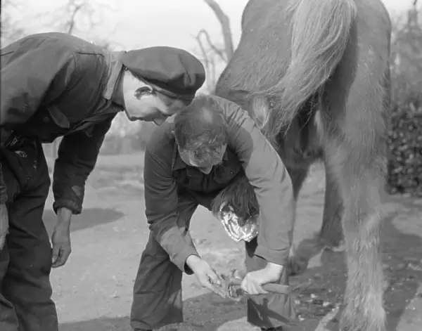 A Farrier at work, Worcestershire