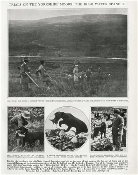 Trials on the Yorkshire Moors: the Irish Water Spaniels 1931