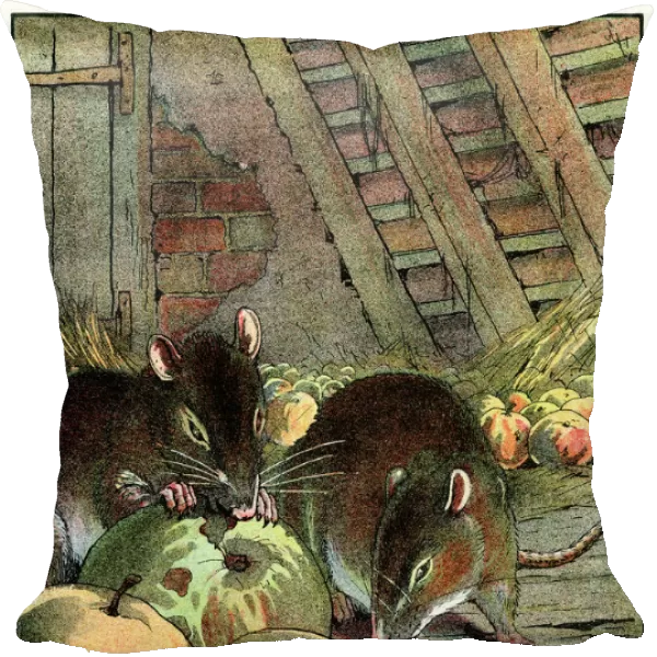 RATS IN THE BARN C1910