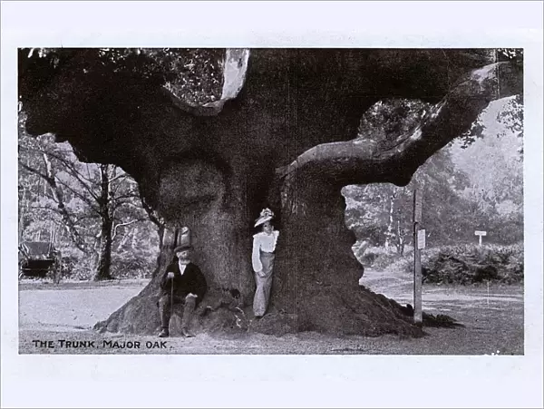 A Woman standing in the trunk of the Major Oak, Sherwood