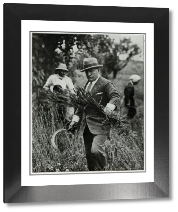 Framed Print : Benito Mussolini Harvesting Print 1933 Framed Print : Benito Mussolini Harvesting Print 1933