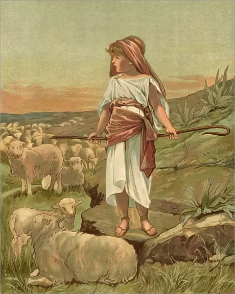 Biblical Tales by John Lawson, Young David the Shepherd