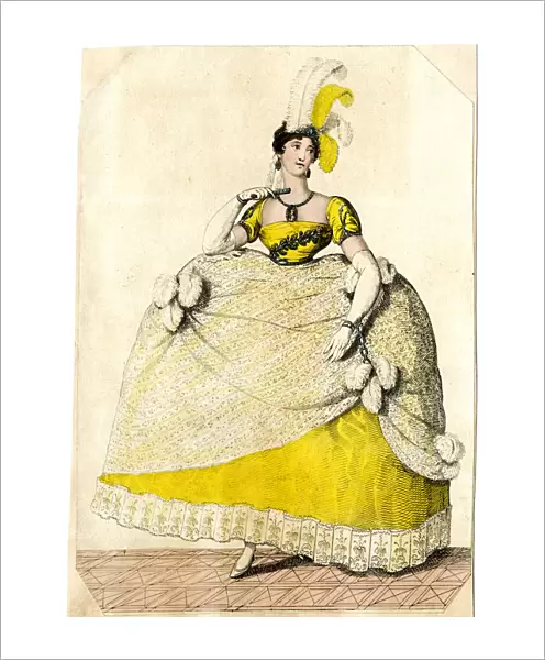 Lady in Court dress worn on His Majestys birthday