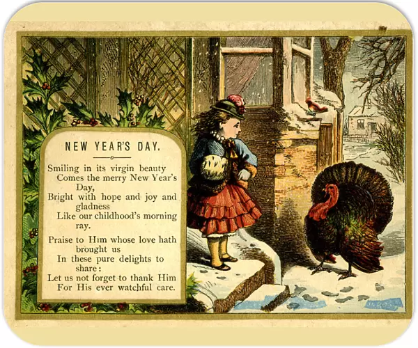 New Year card, girl and turkey in the snow