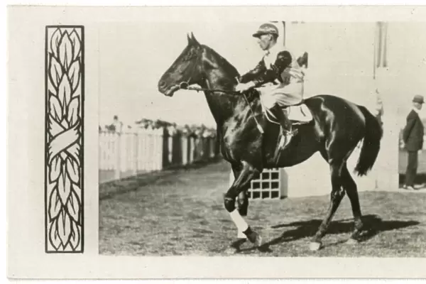 Windbag, Australian race horse