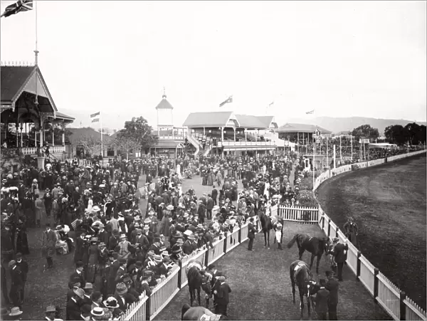 Adelaide Australia, c. 1900-1910 - Victoria Park Racecourse