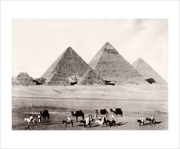 Camel train pyramids at Giza, Cairo, Egypt