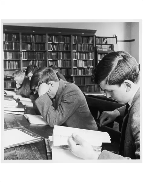 Schoolboys studying in school library
