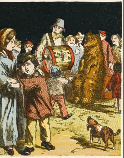 Performing Bear, 1867